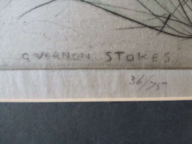 George Vernon Stokes: Lapwing