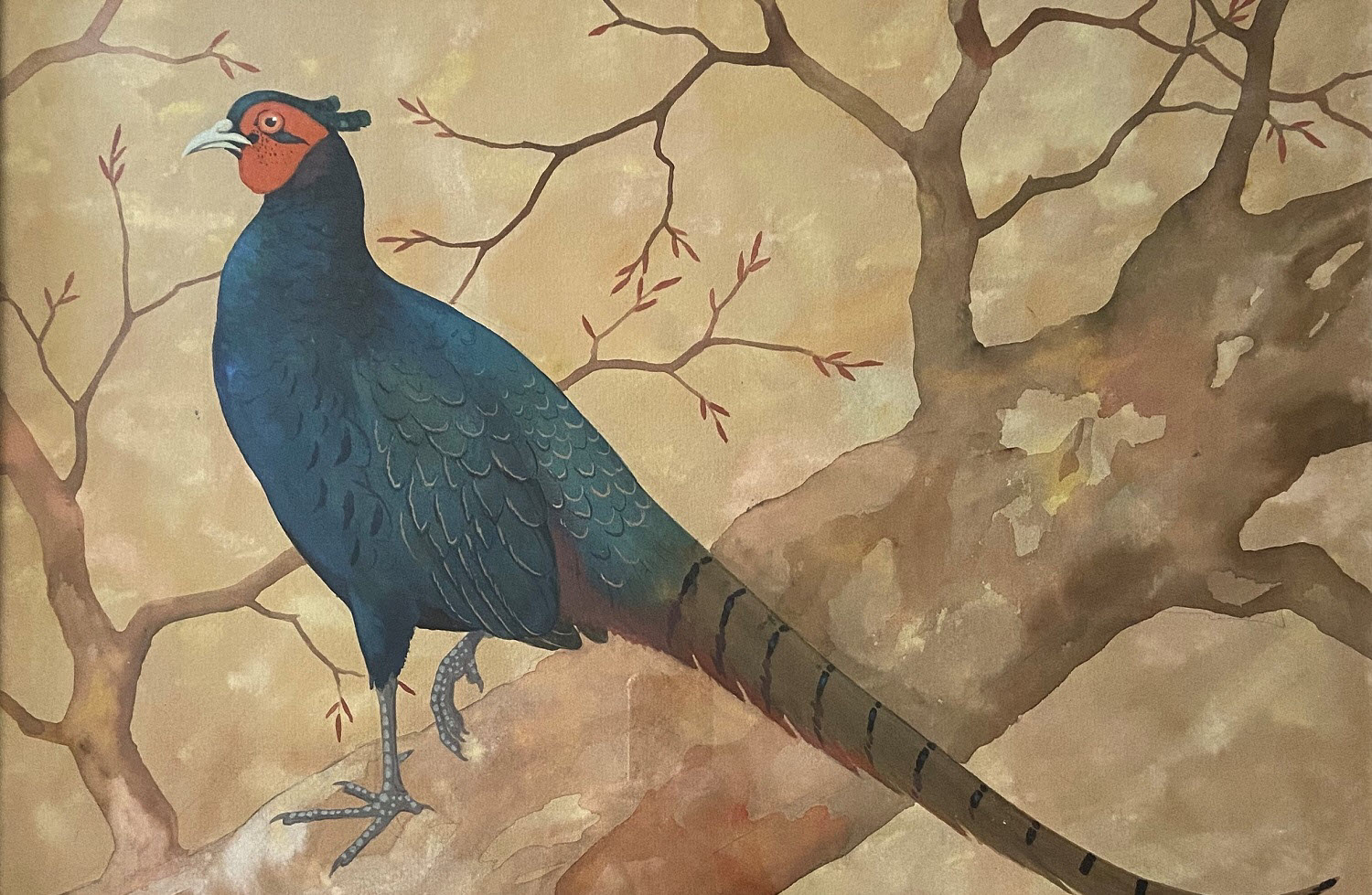 Ralston Gudgeon Cock Pheasant